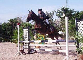 Top class show jumping at Horseshoe Point this weekend.